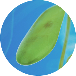 保胆评估与治疗联合门诊